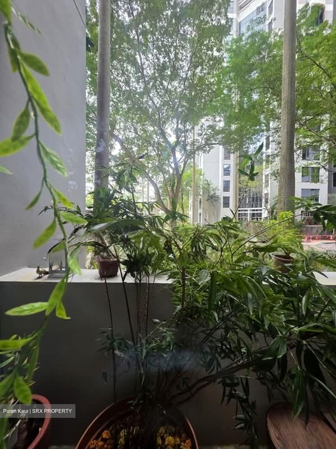 The Bayshore (D16), Condominium #533229321